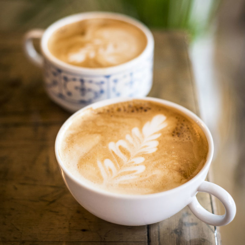 Café de spécialité Lorient Code 0 rosetta latte art crédit photo MLG Photographe